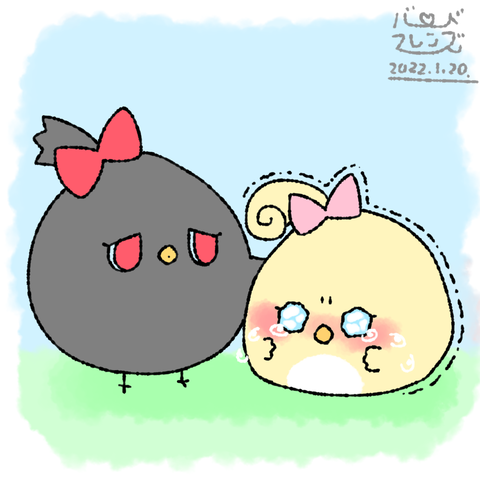 【今日のばーど】心の辛さ