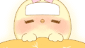 【今日のばーど】熱が出た