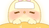 【今日のばーど】熱が出た