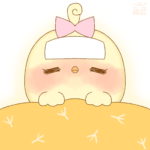 【今日のばーど】熱が出た
