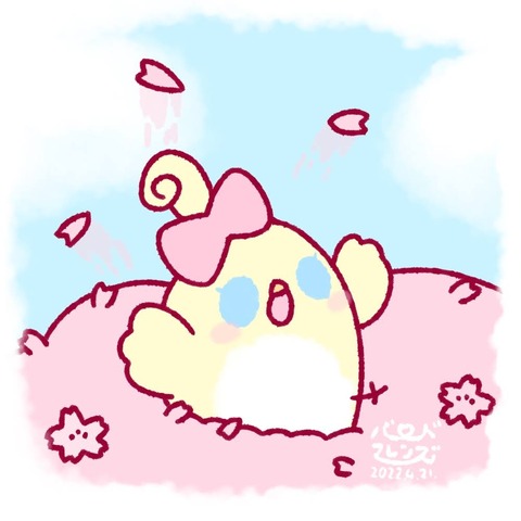 【今日のばーど】どっさりチェリーブロッサム