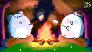 【今日のばーど】ぱちぱちキャンプ