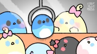 【今日のばーど】ウィ〜ン！クレーンゲーム