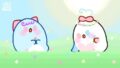 【今日のばーど】ぽかぽかお花つみ