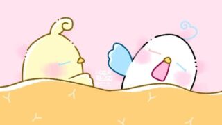 【今日のばーど】すやすやお昼寝