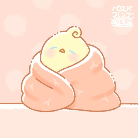 【今日のばーど】ぬくぬくおふとん