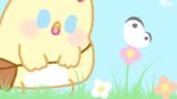 【今日のばーど】ひらひらちょうちょ【お散歩編 #4】