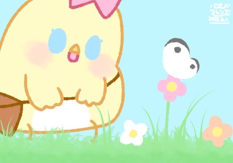 【今日のばーど】ひらひらちょうちょ【お散歩編 #4】