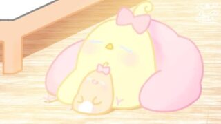 【今日のばーど】ぽかぽか日向ぼっこ