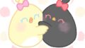 【今日のばーど】ぎゅ〜っ！！