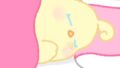 【今日のばーど】すやぁ…