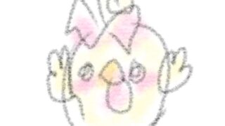 【今日のばーど】うぇ〜い