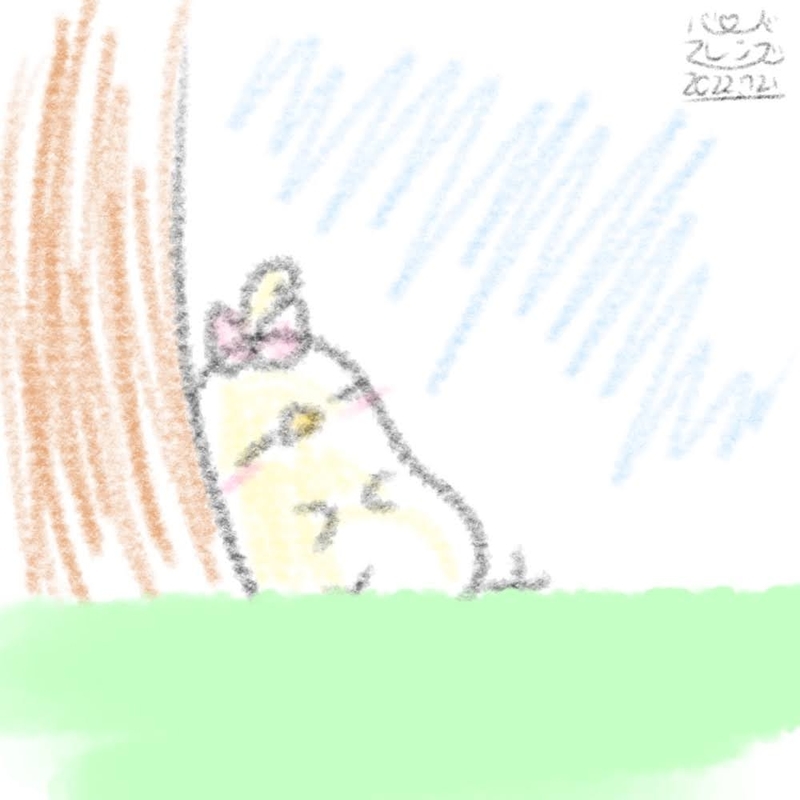 【今日のばーど】ほんわかリボン