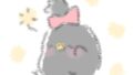 【今日のばーど】ねむねむダーク